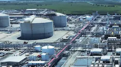 69724cc645a8755ee6e90f2c Vg Plant 3 69724cc645a8755ee6e90f2c Vg Plant 3