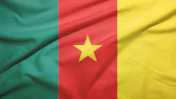 Cameroon flag with fabric texture Cameroon flag with fabric texture