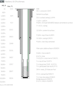 Newberry 55-29 schematic (Fig. 3) Newberry 55-29 schematic (Fig. 3)