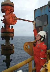 Brazil1 1311off Brazil1 1311off