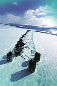 Fixed8 1405off Fixed8 1405off