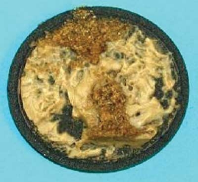 Pennwell web 400 367