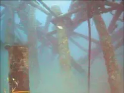 Th 0707offfix2 Th 0707offfix2