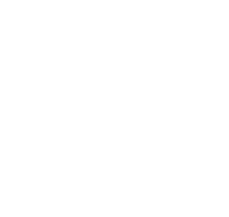 Th 159507