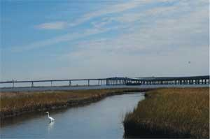 Th La 1 Coalition 01