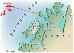 Th Z0602offvetco01 Th Z0602offvetco01