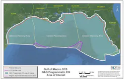 Gulf of Mexico OCS draft programmatic environmental impact statement on G&G surveys Gulf of Mexico OCS draft programmatic environmental impact statement on G&G surveys