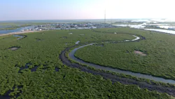 The proposed future Coastal Wetlands Park is a result of a mitigation effort where dredged sediment from the Slip D development was placed in an open water area. The proposed future Coastal Wetlands Park is a result of a mitigation effort where dredged sediment from the Slip D development was placed in an open water area.