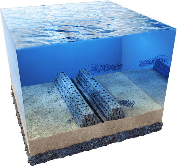 Reef Cubes