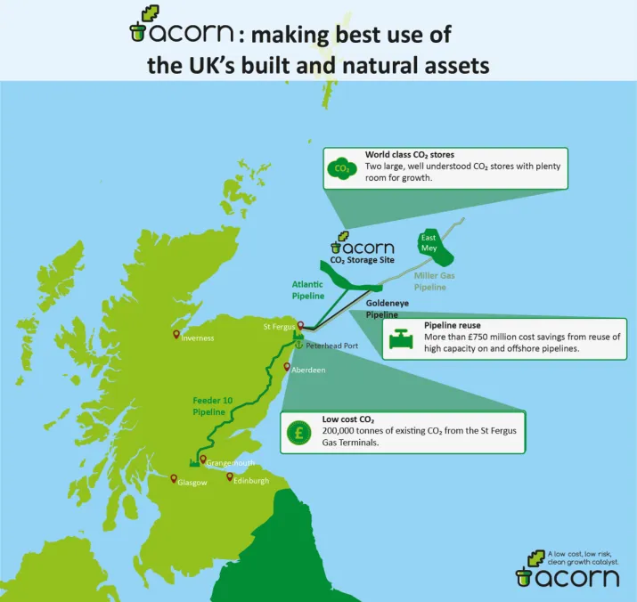 Acorn Pale Blue Dot 6019861c1e285