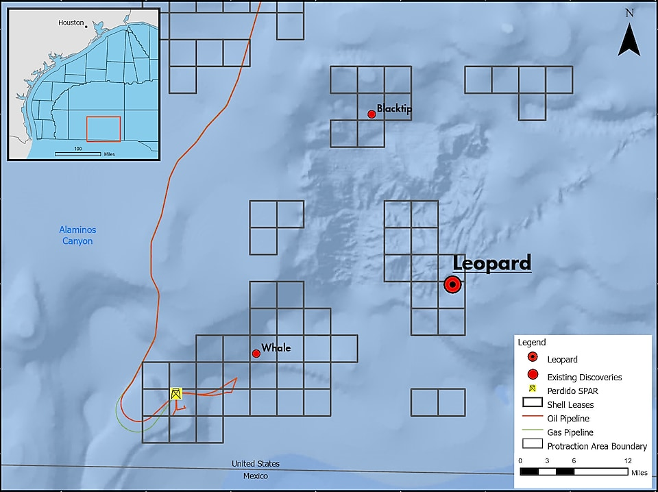 The Leopard oil discovery is ~245 mi (394 km) south-southeast of Houston.