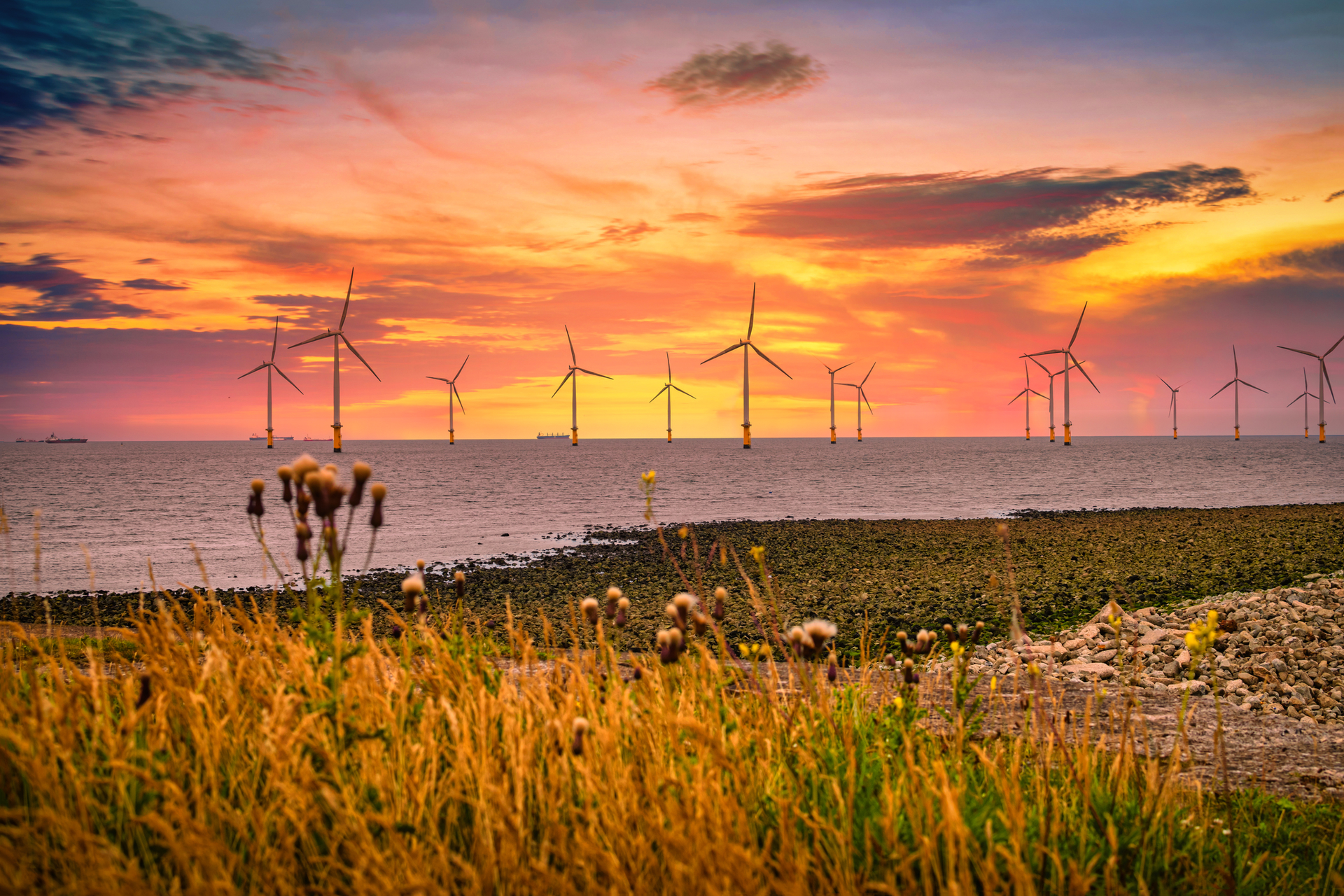 Offshore Wind Bucolic Dreamstime M 176473853