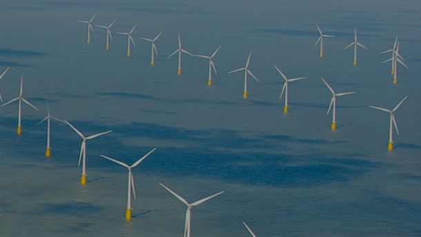 The Crown Estate 62d81c26a3f1e