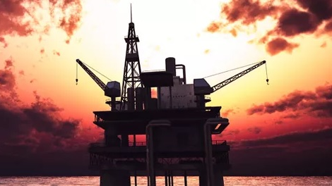 Llog Audubon Salamanca Fps Go M