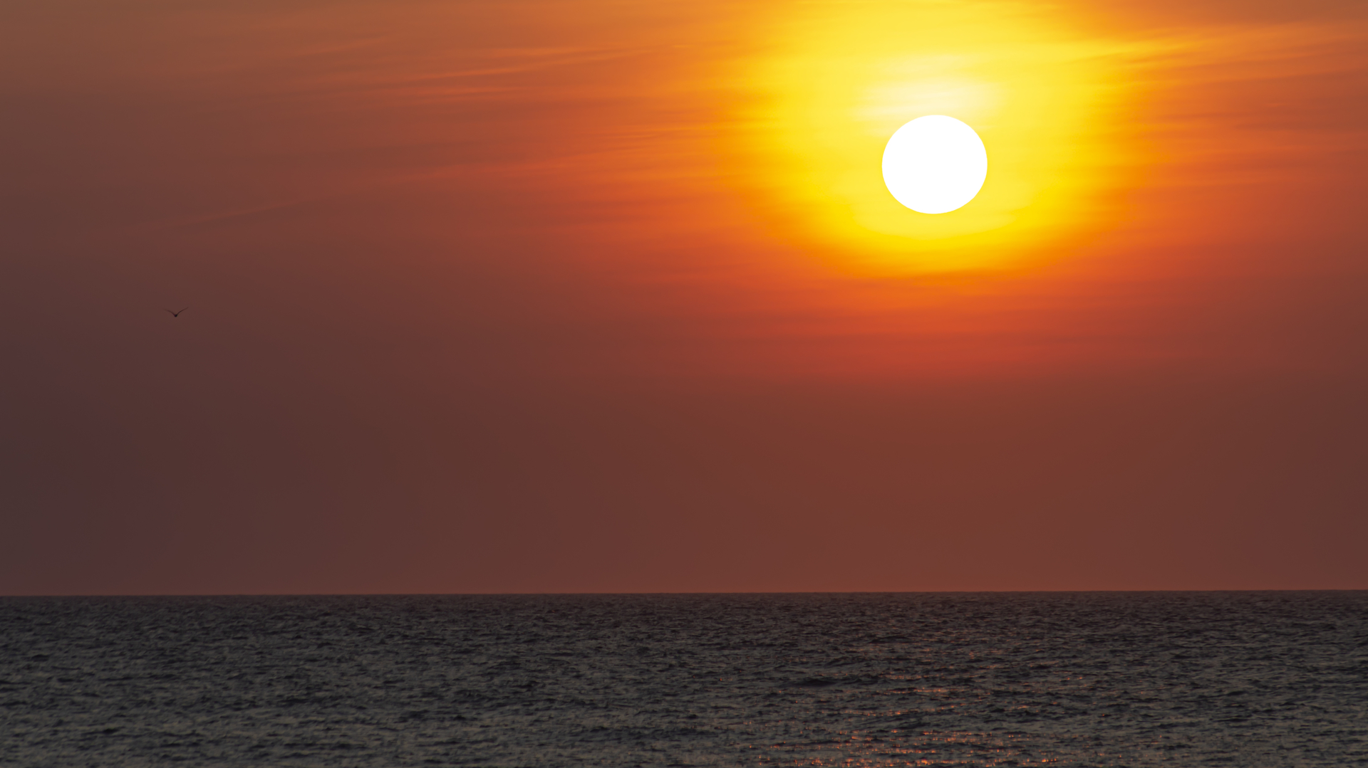 North Sea 632b81531301c