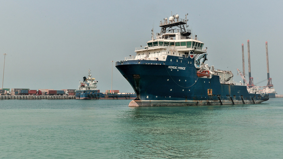 Safeen Surveyor 635302efc9c32