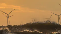 Salamander Floating Wind Salamander Floating Wind