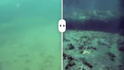 This before (left) and after comparison illustrates how an i2S camera, using image processing algorithms, achieved real-time underwater video image quality. This before (left) and after comparison illustrates how an i2S camera, using image processing algorithms, achieved real-time underwater video image quality.