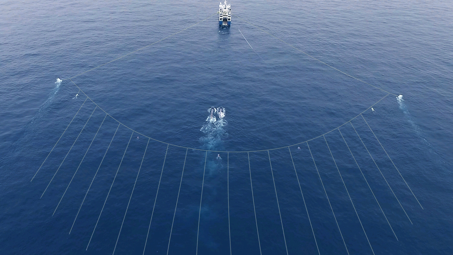 An aerial view of a p-cable spread, which can be rapidly deployed from small vessels, shows compact spread dimensions and closely spaced streamers.