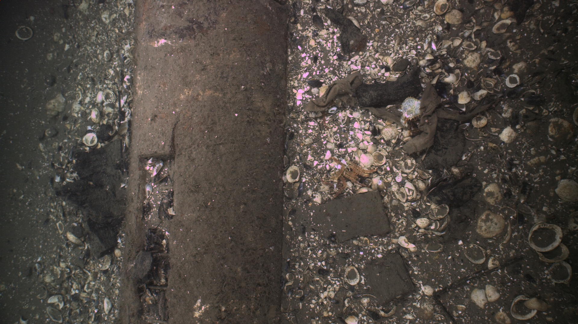 Subsea Inspection Image