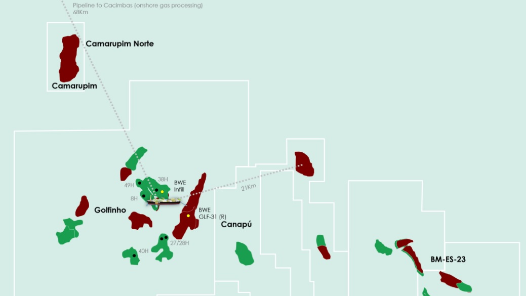 Golfinho 64ee3e7bd7b37