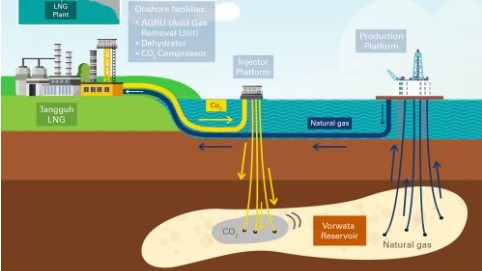 Bp Tanguh Lng Ccs 6500c3a19268b