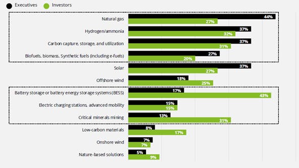 FIGURE 1. Executives and investors were asked by Deloitte, 'Which low-carbon fuel/technology is your organization most bulish or positive about?