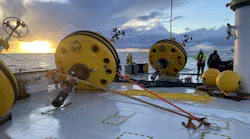 Salamander Salamander