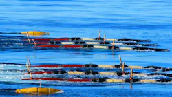 655e4651050b17001ef73539 Shearwater 655e4651050b17001ef73539 Shearwater