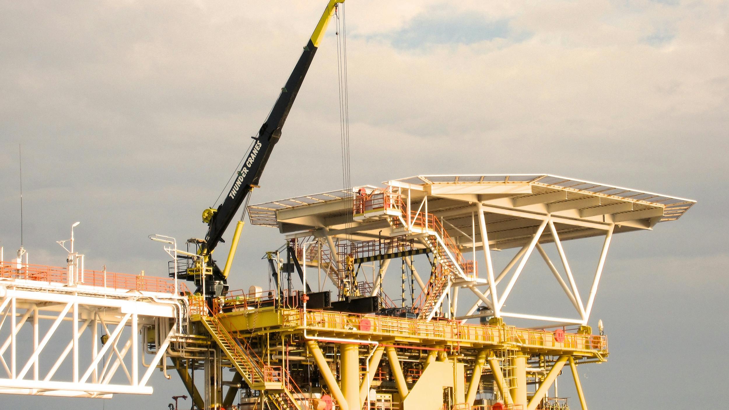 65e633cc2ee370001e222ff3 Thunder Cranes