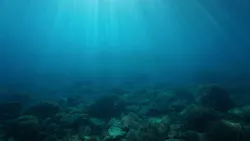 661eccaa78dfc3001f084781 Seabed Minerals 661eccaa78dfc3001f084781 Seabed Minerals