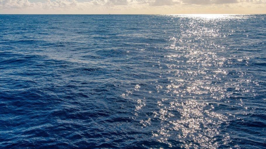 66214be19c4892001eb4d7f8 Petrobras