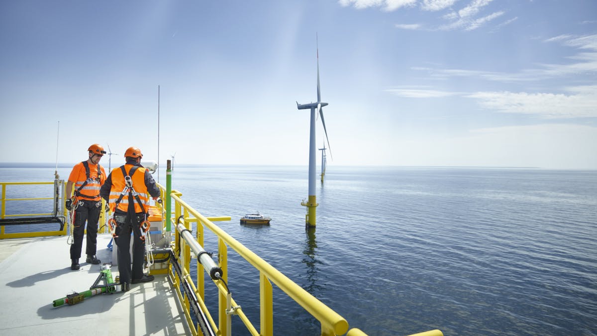 664f85a96c8c6738aae103c8 50hertz