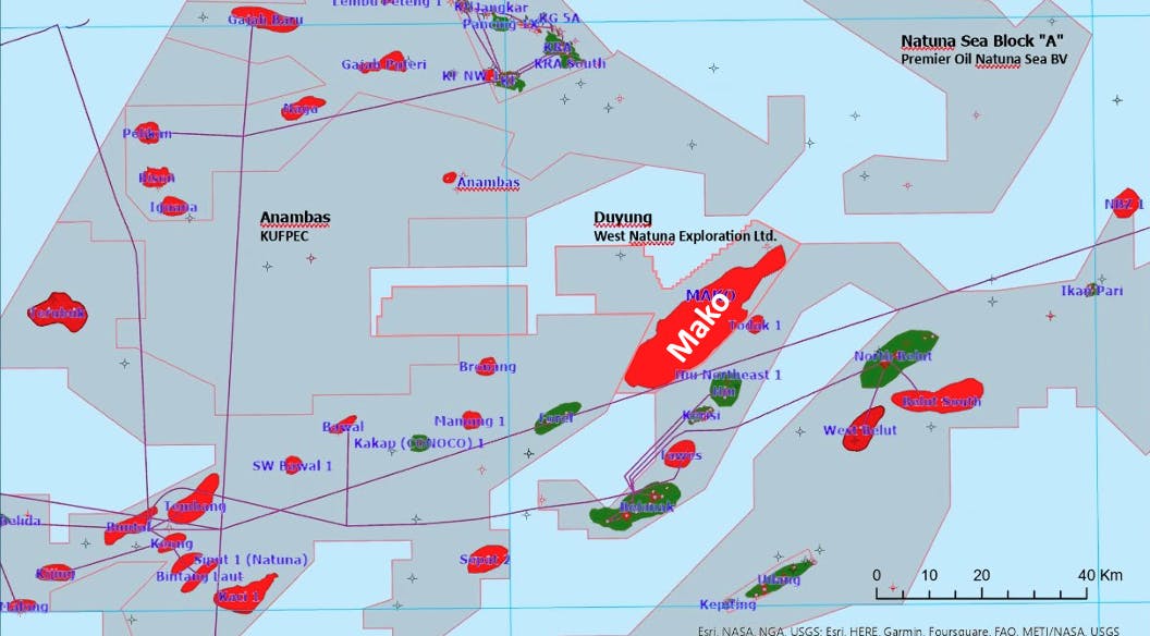 map of Duyung PSC and Mako gas field
