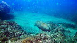 Fugro joins consortium to clear explosives from European waters Fugro joins consortium to clear explosives from European waters