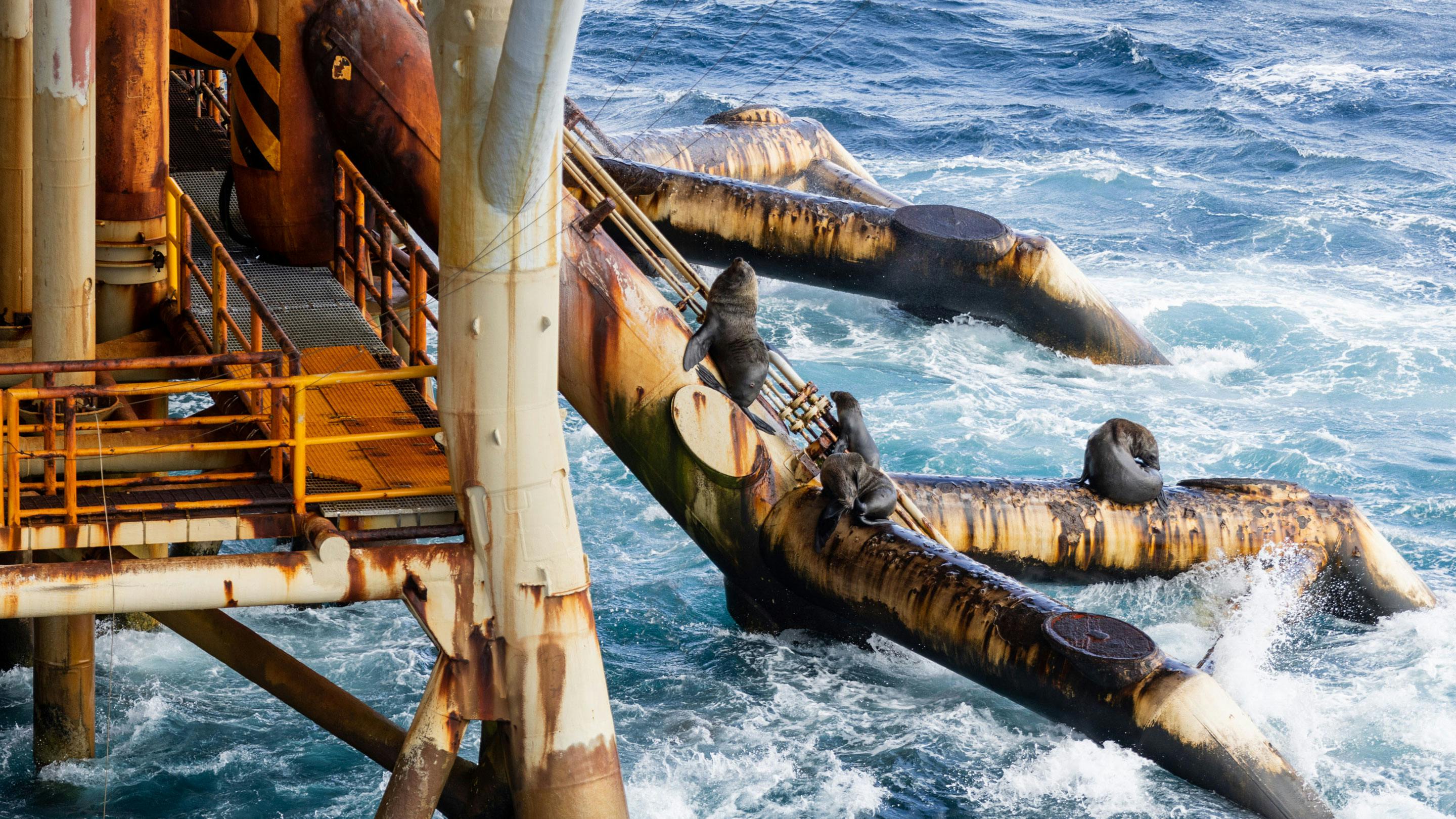 offshore Bass Strait