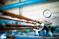 YouraPechkin/iStock YouraPechkin/iStock