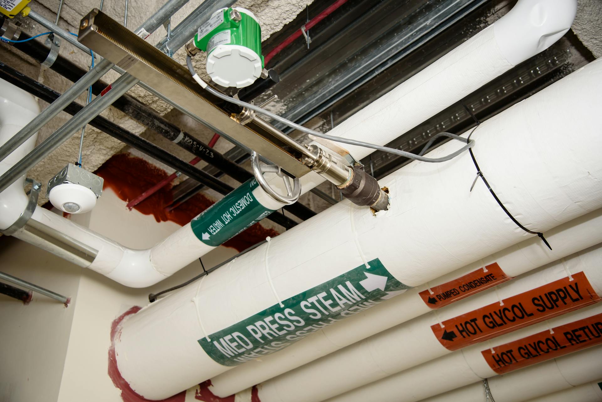 Figure 1. An insertion vortex flowmeter, metering steam entering a facility.