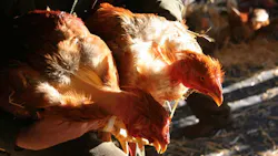 Ts 98073413 720x405 Ts 98073413 720x405