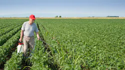 Ts 157988845 715x400 Ts 157988845 715x400