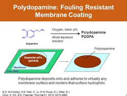 Pr 9358526437 616c2ff3e1 B 400x300 Pr 9358526437 616c2ff3e1 B 400x300