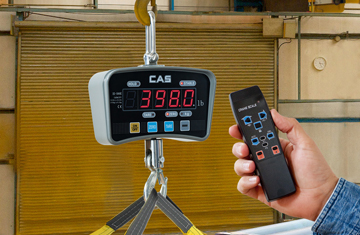 Alliance-Crane-Scale