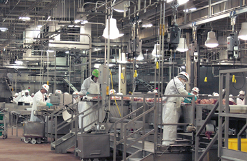 Photo copyright Tyson Foods