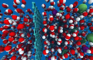 Graphic: David Cohen-Tanugi