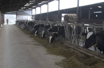 Ingram Publishing/Thinkstock