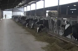 Ingram Publishing/Thinkstock Ingram Publishing/Thinkstock