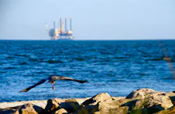 Michael Watkins/iStockphoto/Thinkstock Michael Watkins/iStockphoto/Thinkstock