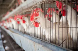 Ryan Rodrick Beiler/iStockphoto/Thinkstock Ryan Rodrick Beiler/iStockphoto/Thinkstock