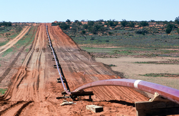 John Carnemolla/iStockphoto/Thinkstock