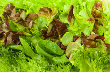 SVETLANA KOLPAKOVA/iStockphoto/Thinkstock